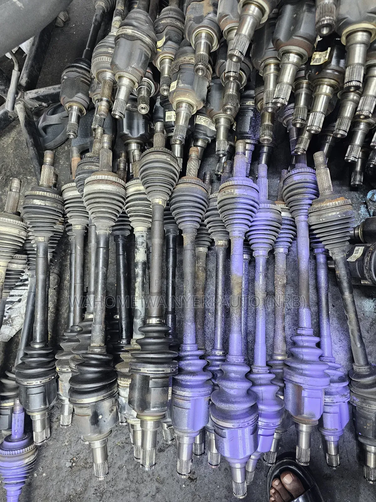 Complete Drive Shaft Robox