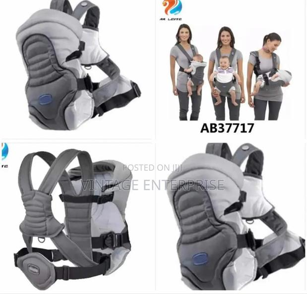 Chicco Carrier - main view