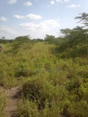 185 Acres Is Available for Sale in Makindu Town Along Msa Rd