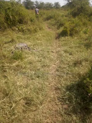 185 Acres Is Available for Sale in Makindu Town Along Msa Rd