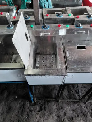 Single Electric Fryers
