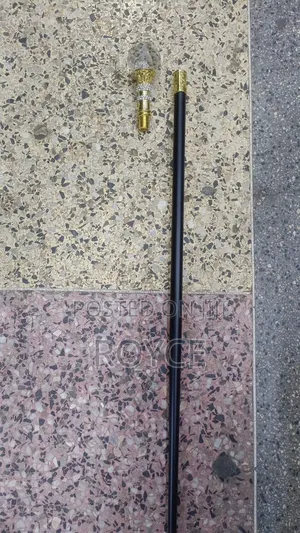Fashion Walking Stick