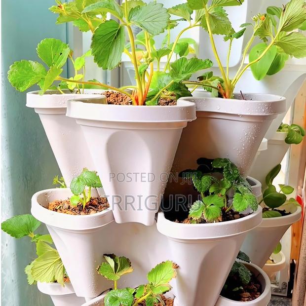 Planting Flower Pots for Home Decoration. - main view
