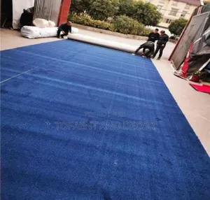 Blue Delta Soft Plush Wall to Wall Carpet for Luxury Feel