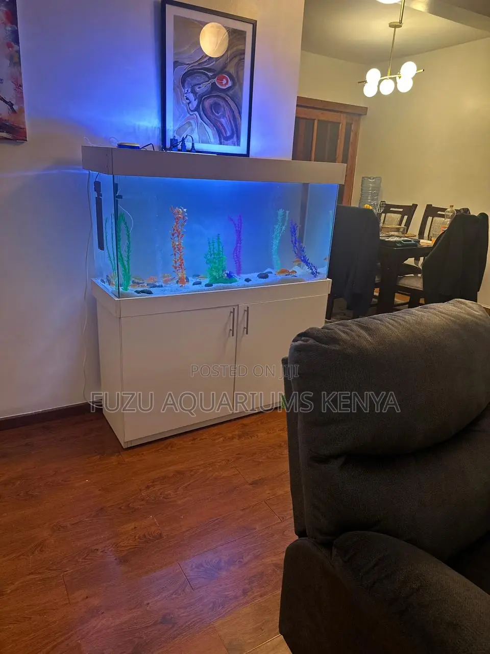 Luxury Home Aquarium – Fully Loaded Setup