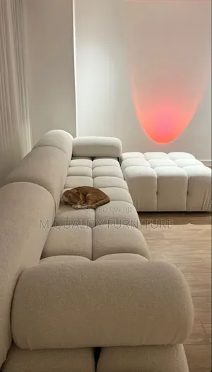 New Bubble Classy Couches