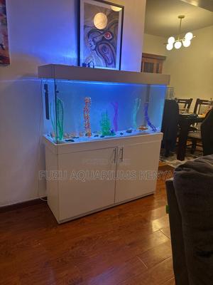 Complete 4ft Aquarium With Fish, Plants Filter - thumbnail 2