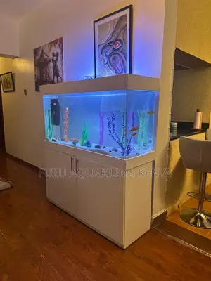 Deluxe Aquarium With Colorful Fish Plants