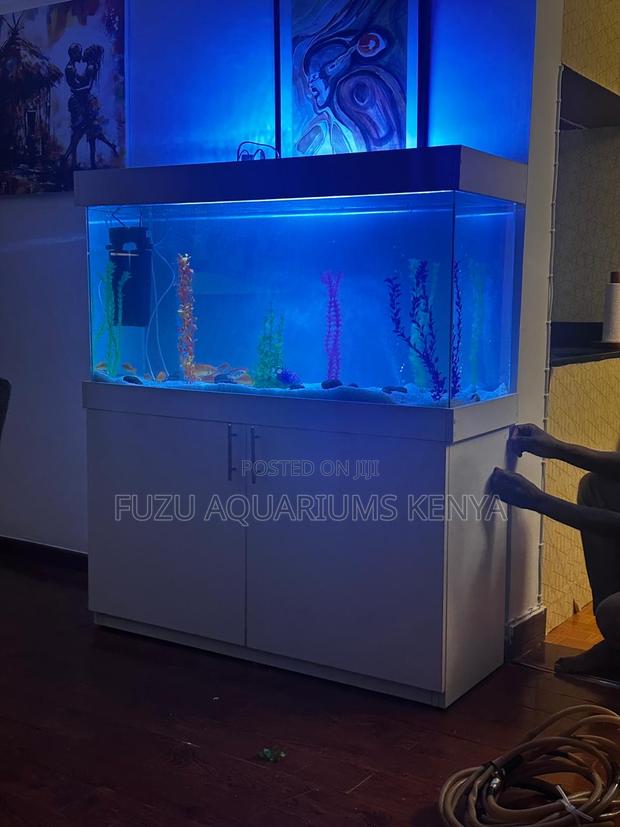 4ft Aquarium Bundle – All-in-One Package Deal