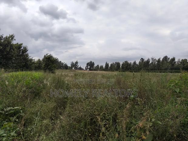 A 3 Acres Piece of Red Soil Land on Sale in Ngong, Kibiko - thumbnail 4