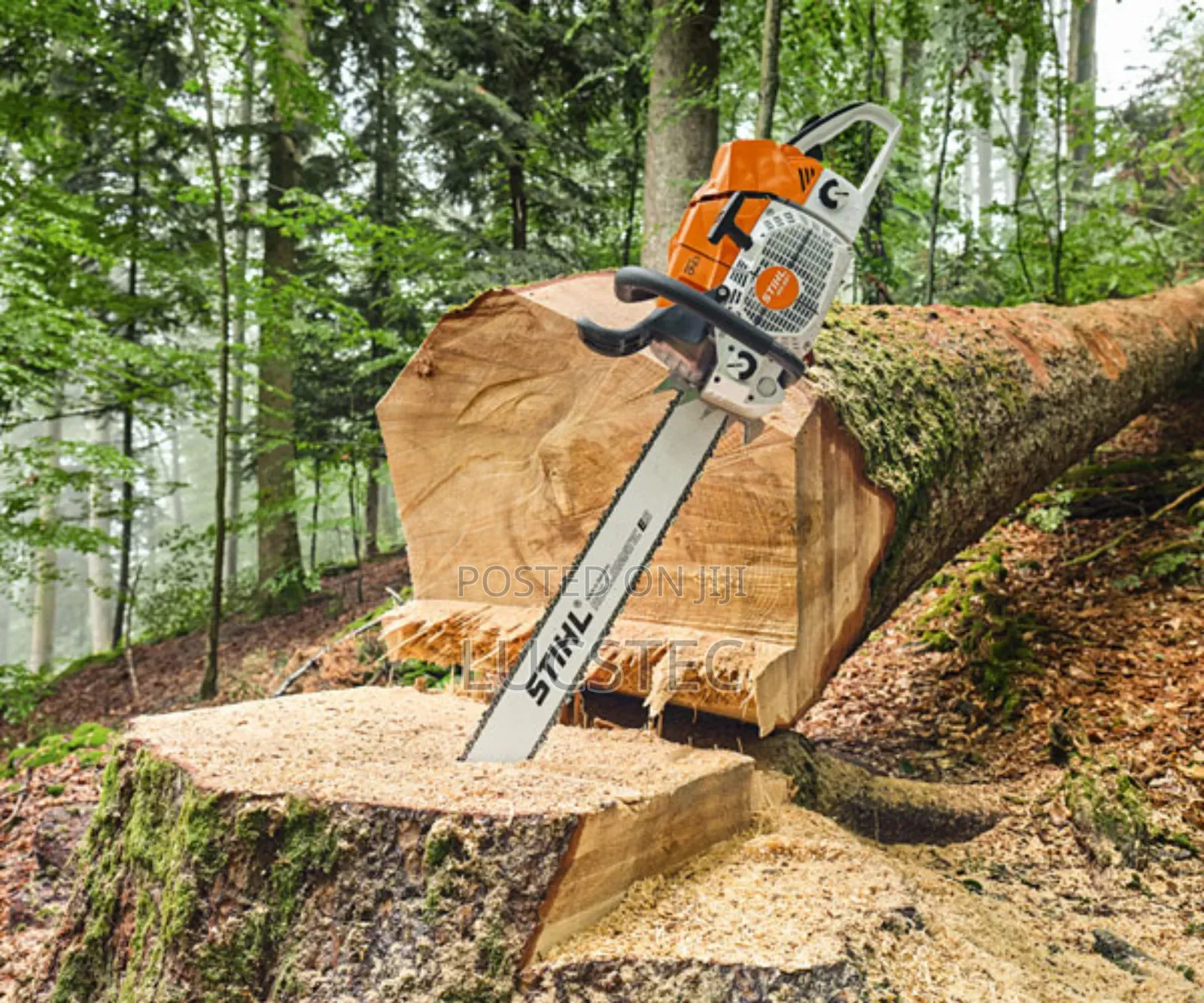 Stihl Chainsaw