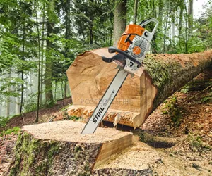 Stihl Chainsaw