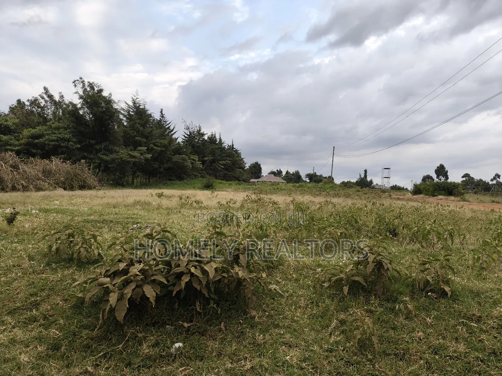 One Acre Piece of Land in Ngong, Kibiku. Good Red Soil
