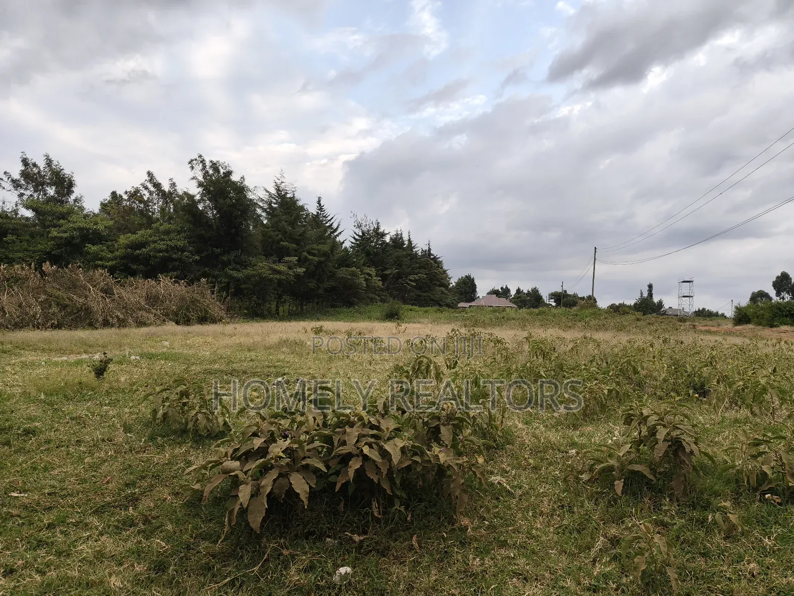 One Acre Piece of Land in Ngong, Kibiku. Good Red Soil