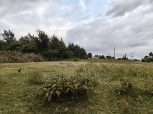 One Acre Piece of Land in Ngong, Kibiku. Good Red Soil
