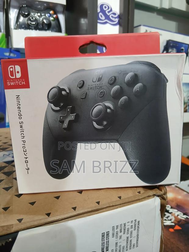 Nintendo Switch Pro Controller - main view