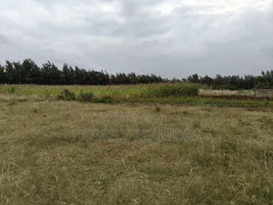 2 Acres of Land Is on Sale in Ngong, Kibiko With Scenic View