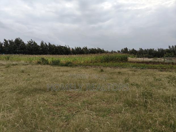 2 Acres of Land Is on Sale in Ngong, Kibiko With Scenic View - thumbnail 5