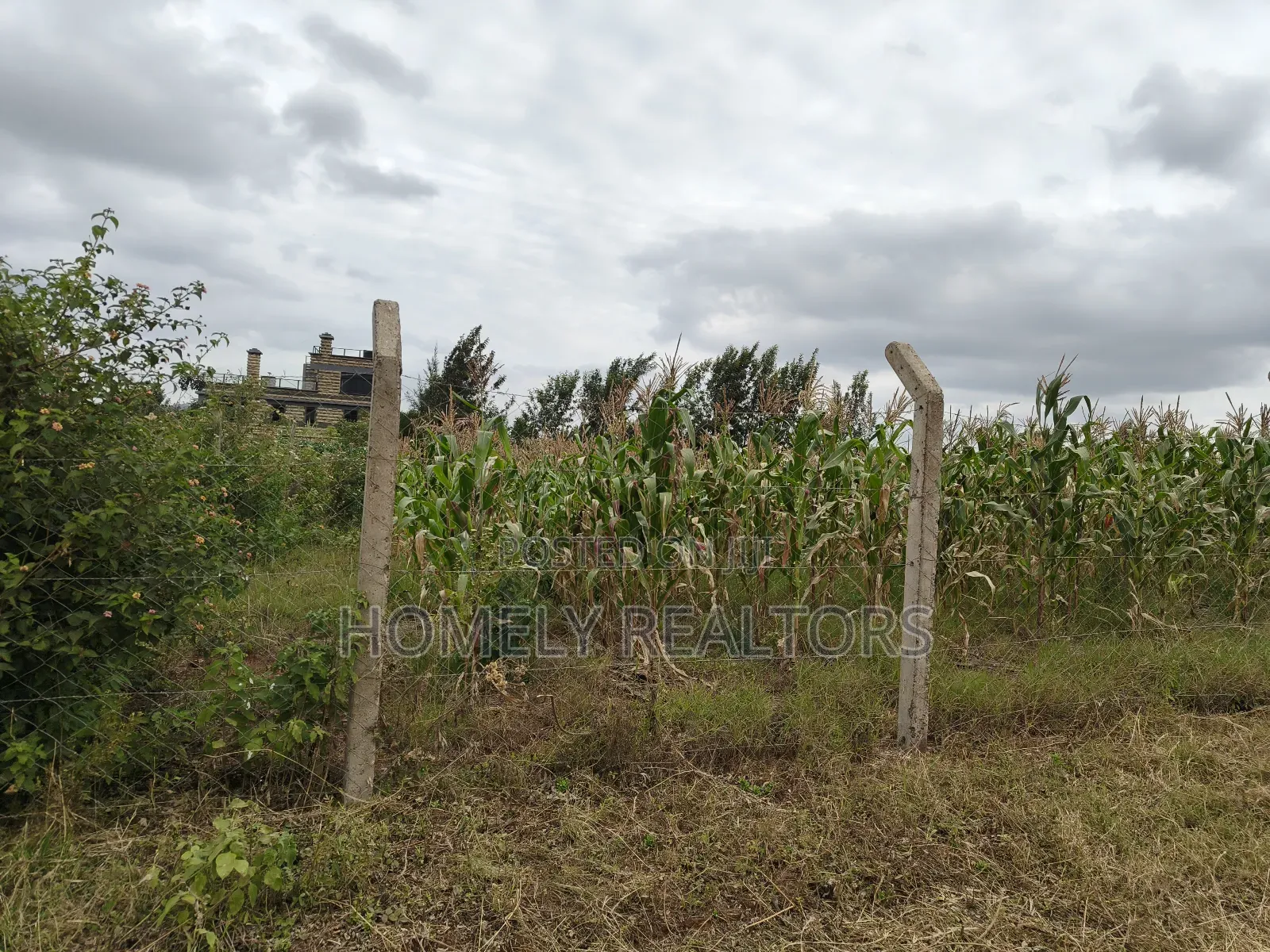 One Acre Piece of Land in Ngong, Kibiku. Fertile Red Soil