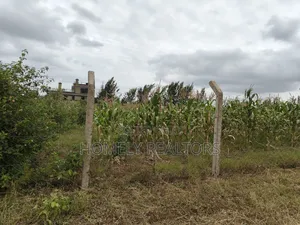 One Acre Piece of Land in Ngong, Kibiku. Fertile Red Soil