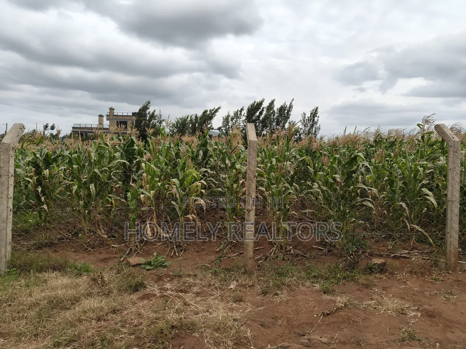 One Acre Piece of Land in Ngong, Kibiku. Fertile Red Soil