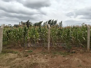One Acre Piece of Land in Ngong, Kibiku. Fertile Red Soil