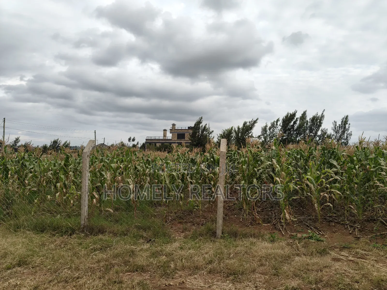 One Acre Piece of Land in Ngong, Kibiku. Fertile Red Soil