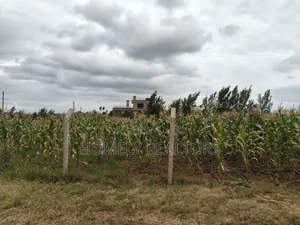 One Acre Piece of Land in Ngong, Kibiku. Fertile Red Soil