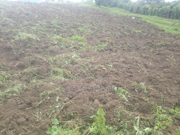 5 Acres on Sale - main view