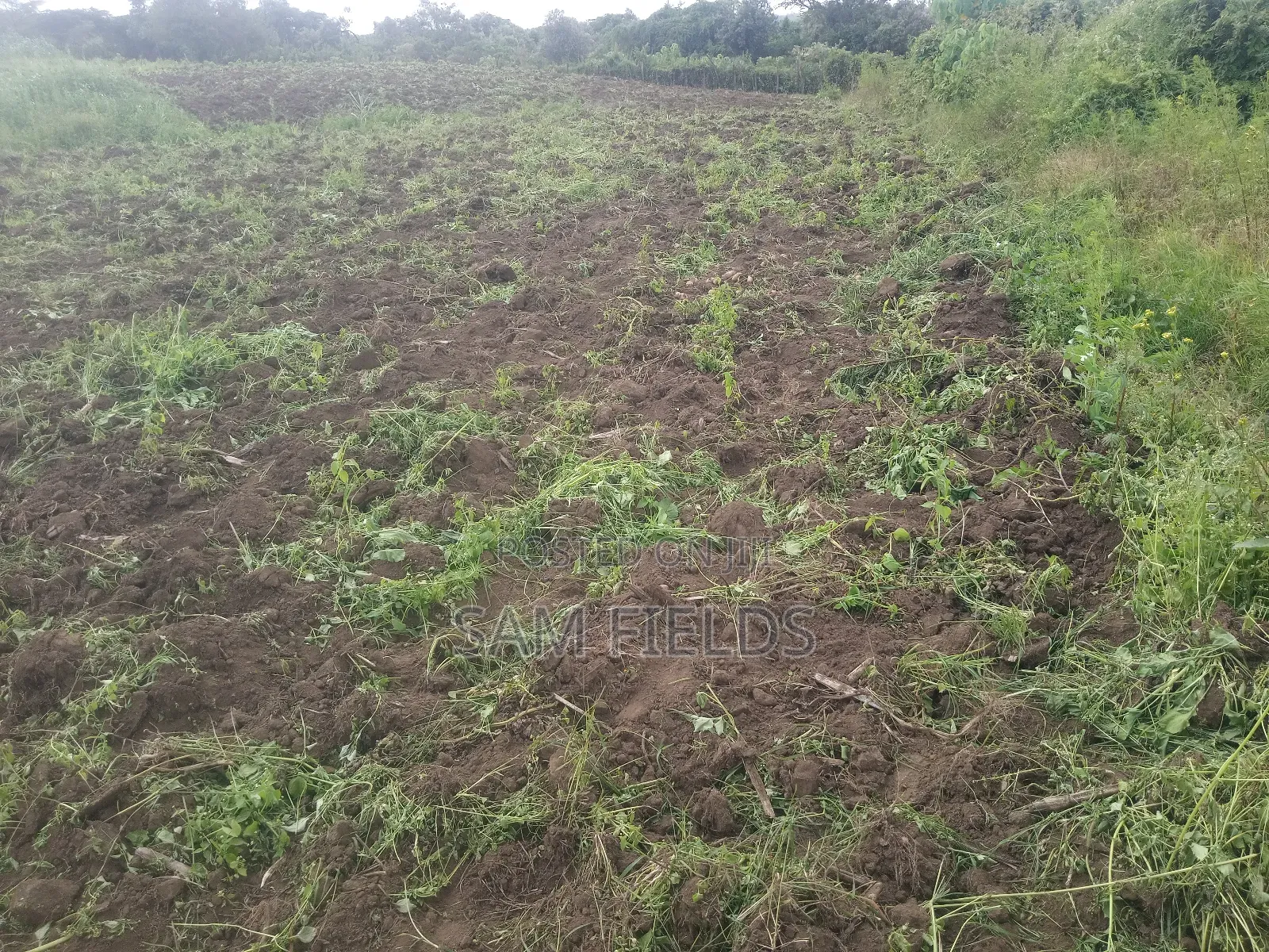 5 Acres on Sale