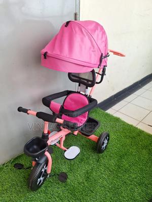 Tricycle With Canopy - thumbnail 2