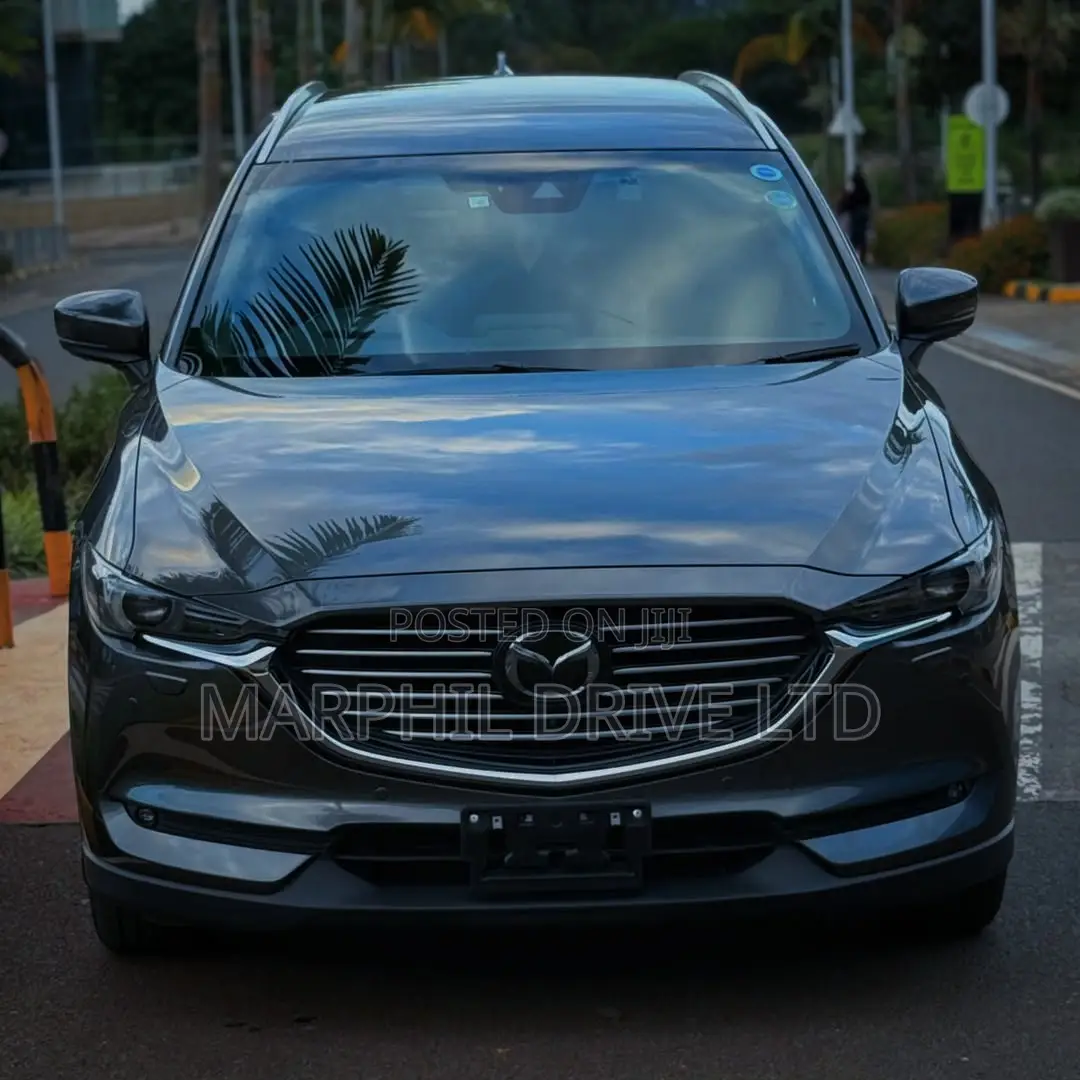 Mazda CX-8 2.2 AWD (6 seater) 2018 Gray