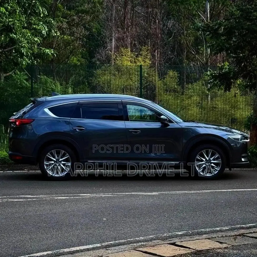 Mazda CX-8 2.2 AWD (6 seater) 2018 Gray