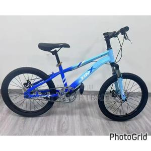 Blue BMX Bike Size 24 - main view