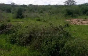 1500 Acres in Voi on Mombasa-Nairobi Highway Is for Sale