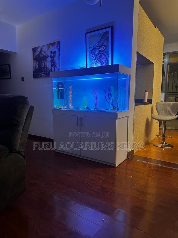 Sleek 4ft Aquarium – Ready to Impress - main view