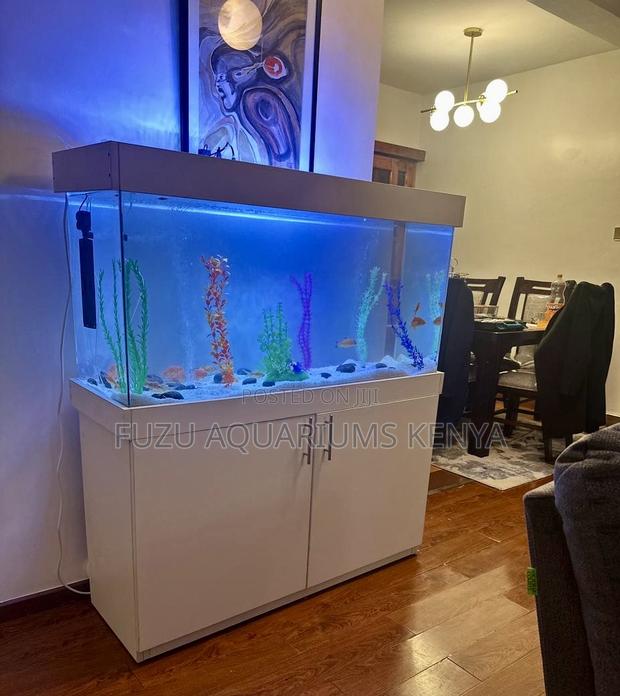 Display-Ready 4ft Aquarium With Full Setup - main view