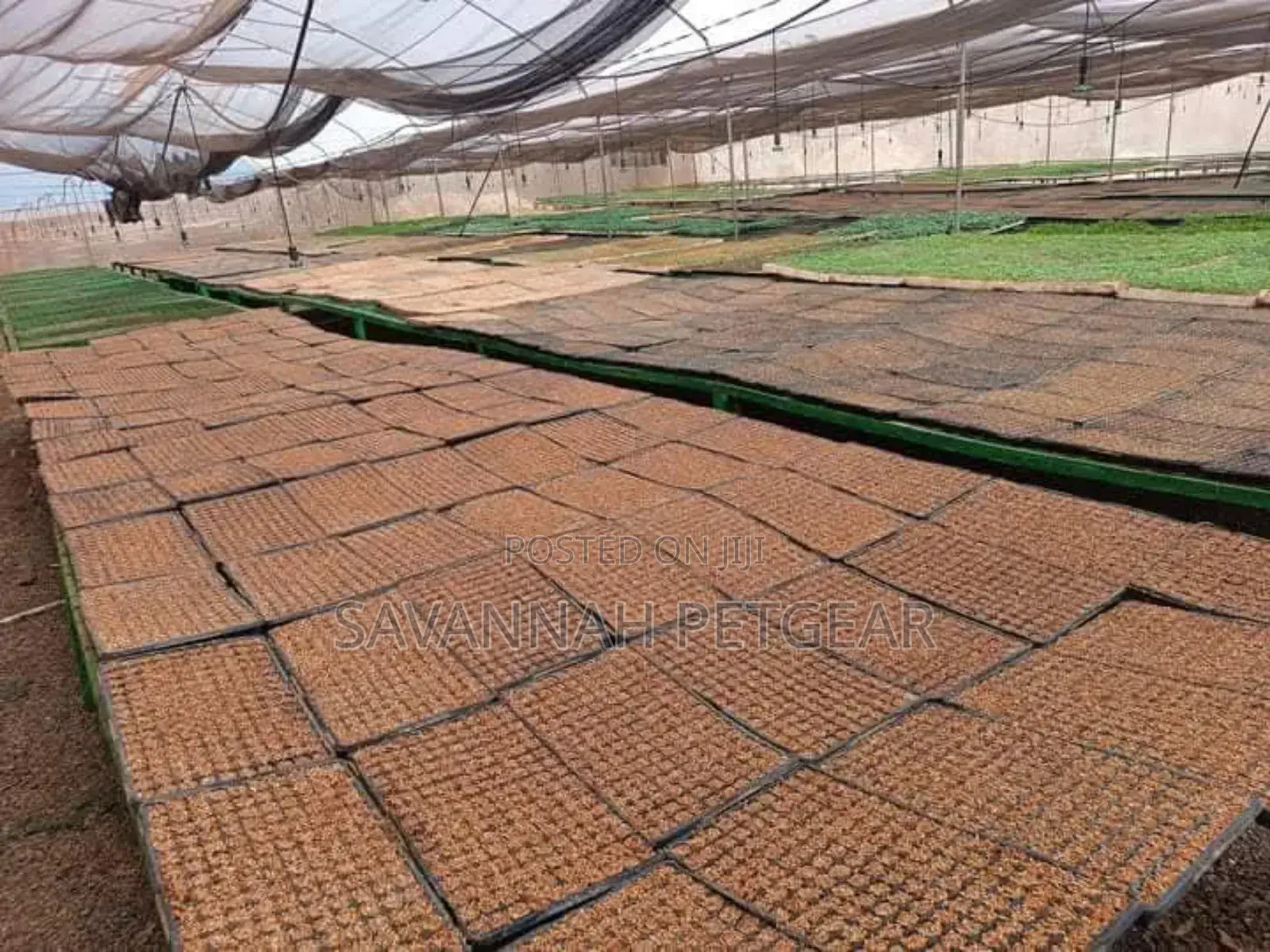 Durable 21/50/72/128 Cells Seedling Germination Nursery Tray