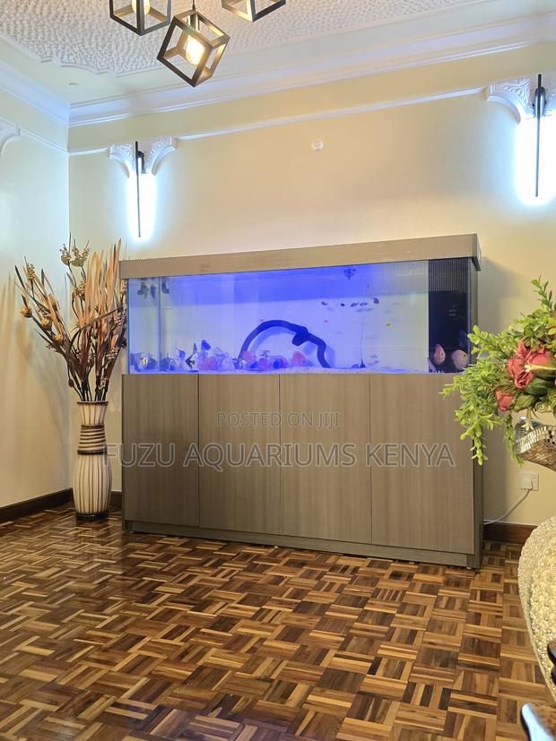 Large Cabinet Aquarium – Eye-Catching Display - main view