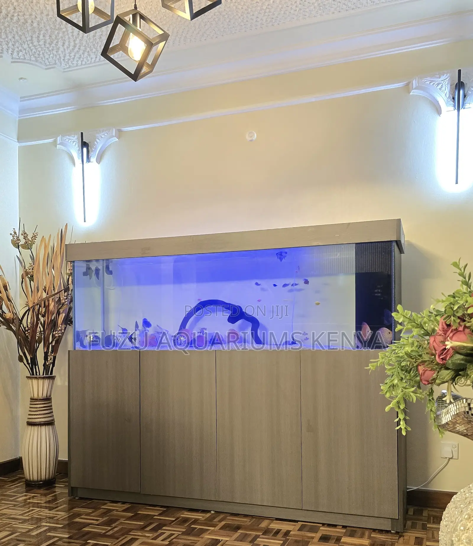 Spacious Aquarium With Modern Cabinet Base