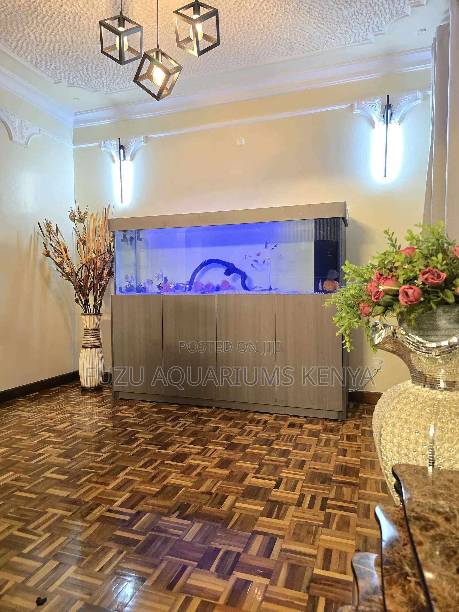 Oversized Cabinet Aquarium – Fully Equipped