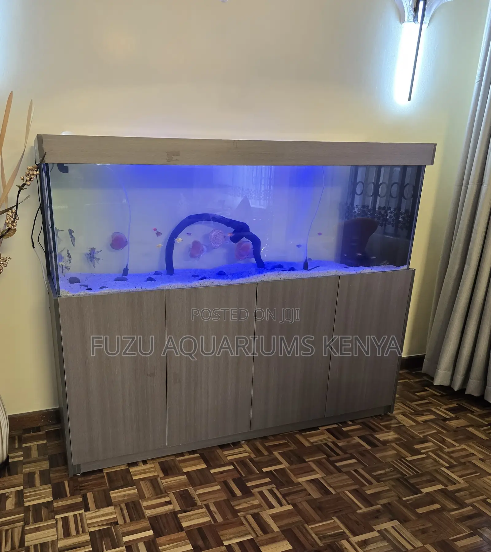 Massive Aquarium – Built to Impress