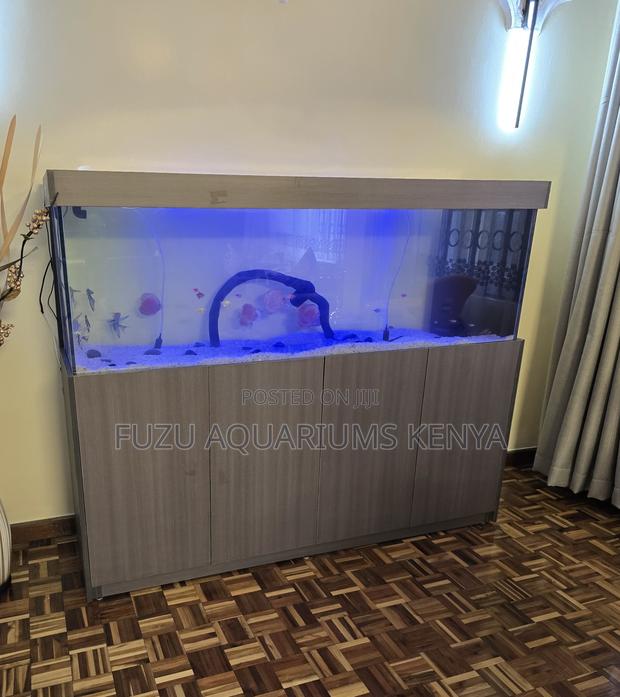 Massive Aquarium – Built to Impress - main view