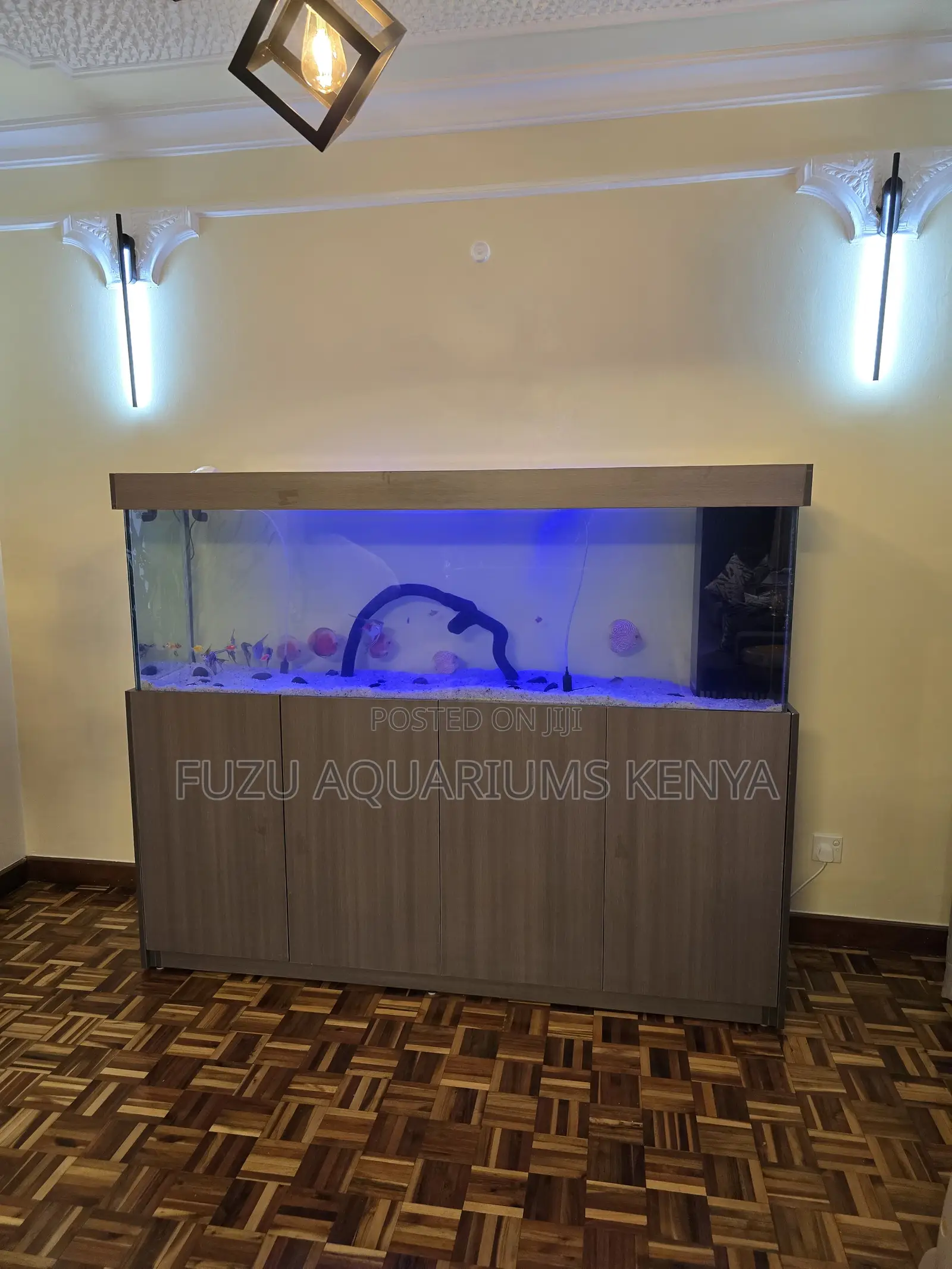 Full Cabinet Aquarium – Perfect for Decor