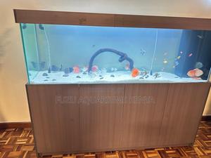 Aquarium With Storage Cabinet – High Volume - thumbnail 2