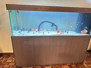 Aquarium With Storage Cabinet – High Volume