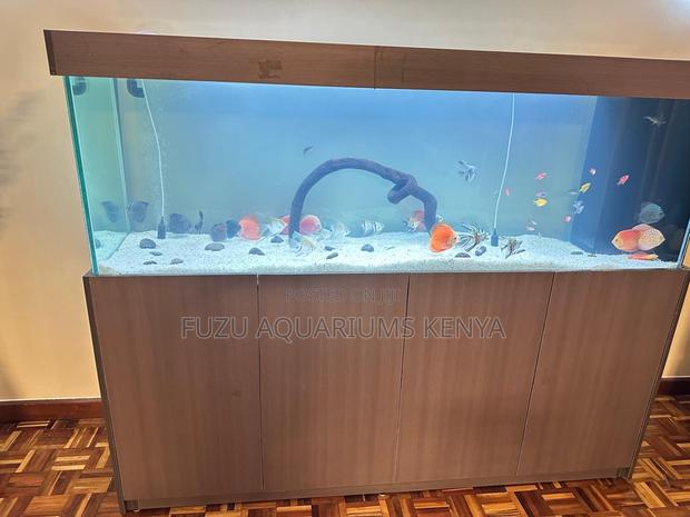 Aquarium With Storage Cabinet – High Volume - main view