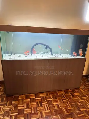Aquarium With Elegant Cabinet Base Unit