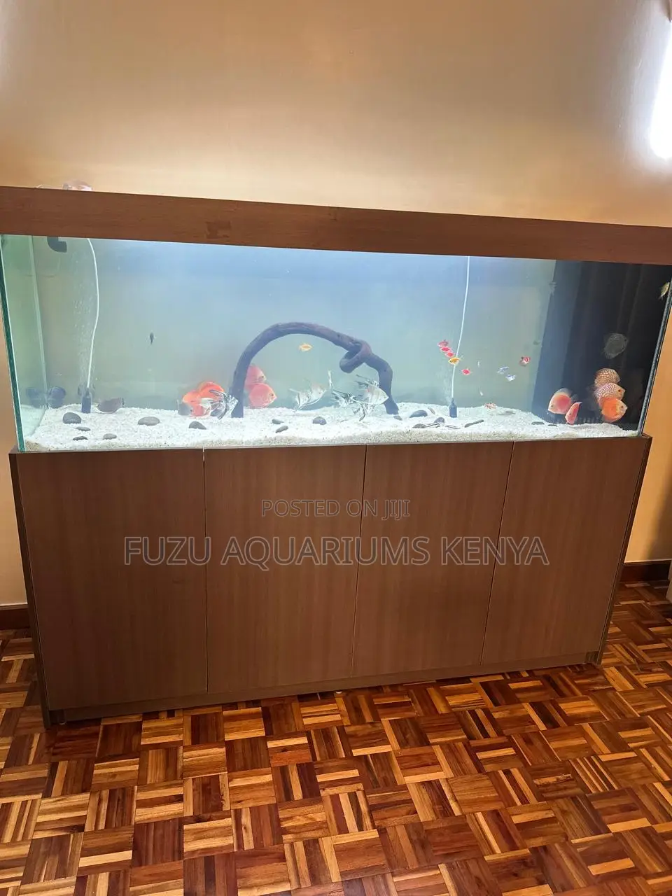 Aquarium With Elegant Cabinet Base Unit