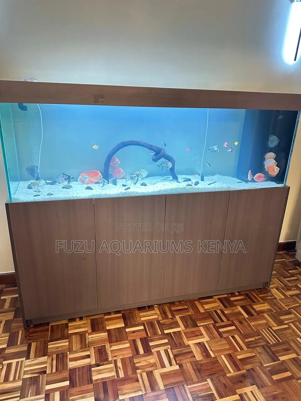 Premium Aquarium Stand With Hidden Storage